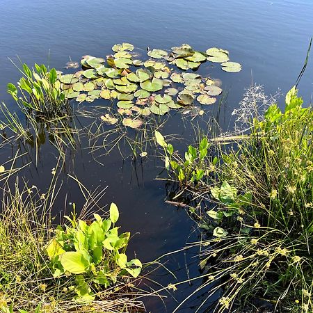 Landzicht Natuur Rust En Ruimte Oosterwolde  Dış mekan fotoğraf