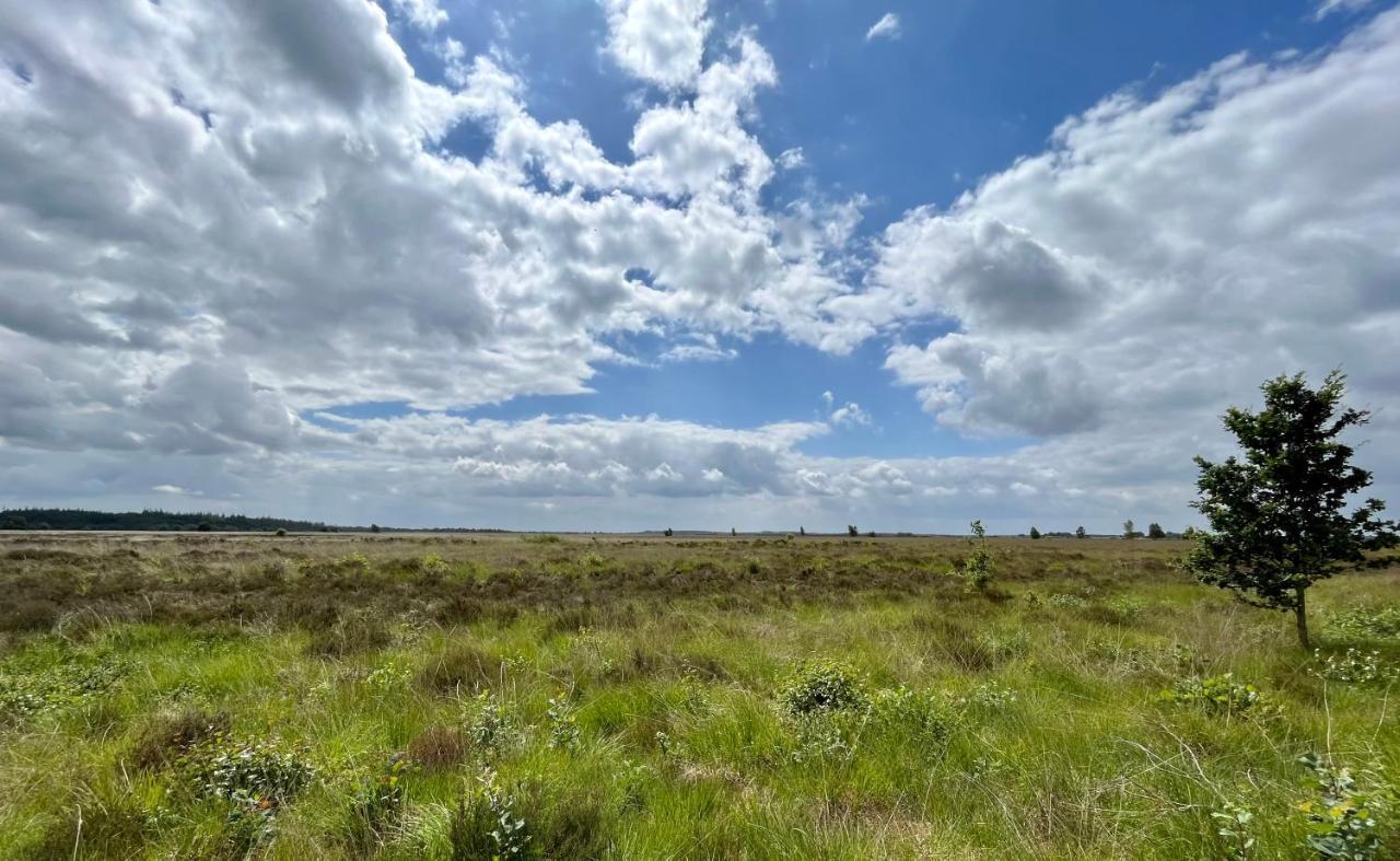 Landzicht Natuur Rust En Ruimte Oosterwolde  Dış mekan fotoğraf