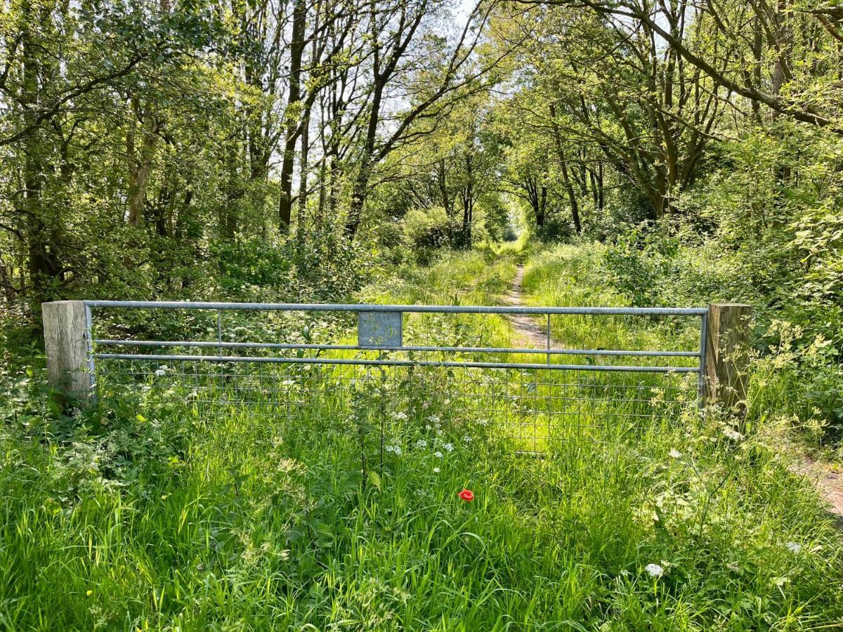 Landzicht Natuur Rust En Ruimte Oosterwolde  Dış mekan fotoğraf