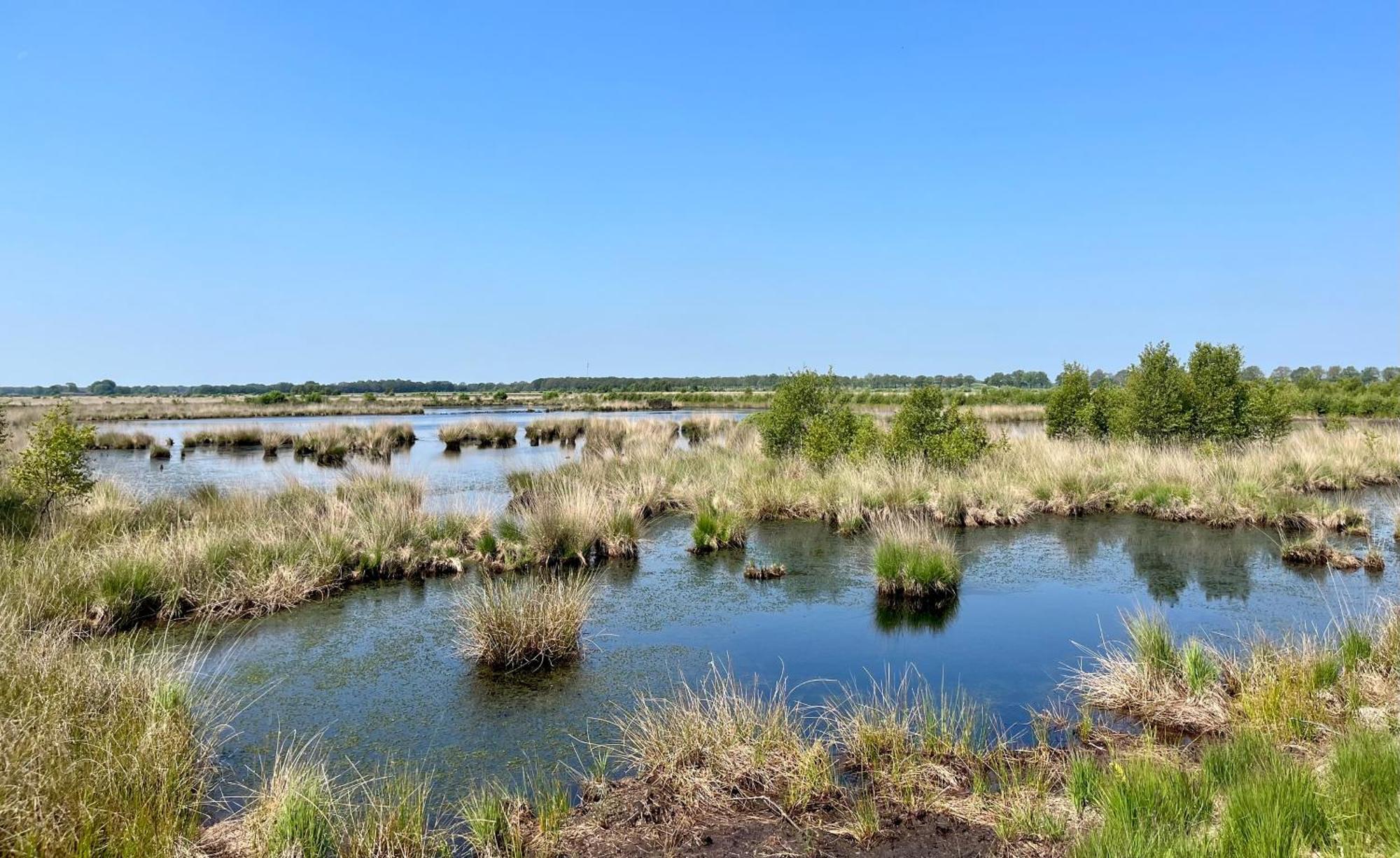Landzicht Natuur Rust En Ruimte Oosterwolde  Dış mekan fotoğraf