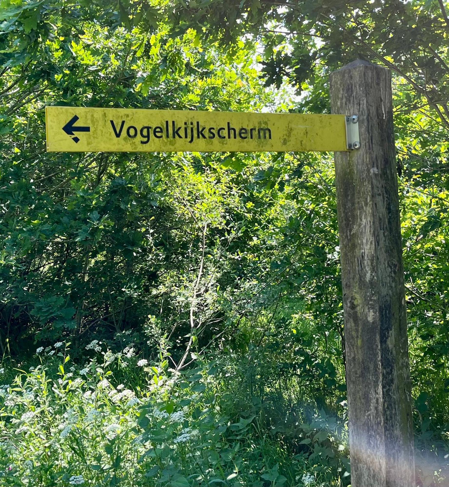 Landzicht Natuur Rust En Ruimte Oosterwolde  Dış mekan fotoğraf