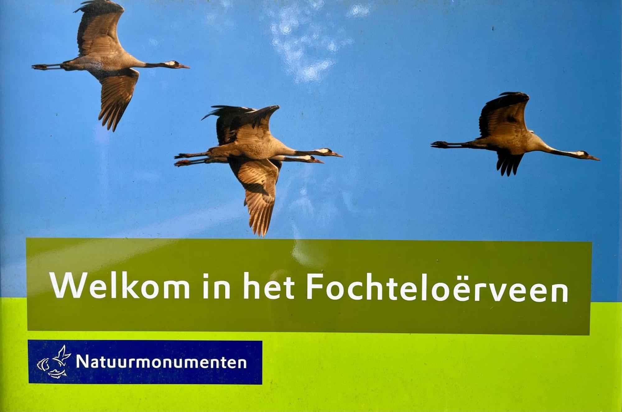 Landzicht Natuur Rust En Ruimte Oosterwolde  Dış mekan fotoğraf
